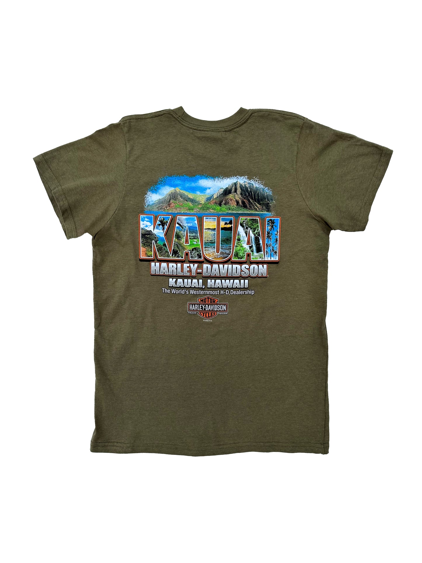 Kauai Scene Youth Tee - Green