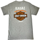 Kauai B&S Grey Tee