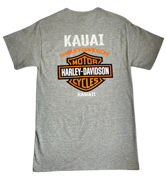 Kauai B&S Grey Tee